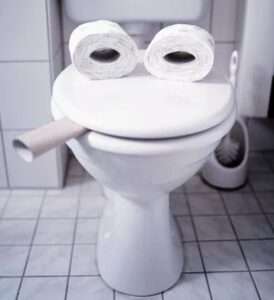 How to Dissolve Poop Stuck in the Toilet 5 How to Keep Toilet Drain Clear