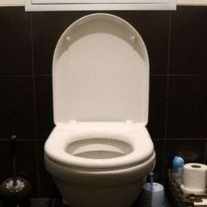 Best Toilet Seats That Don't/Won't Stain (See our #1 Pick) of 2021