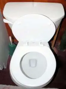 round toilet seats