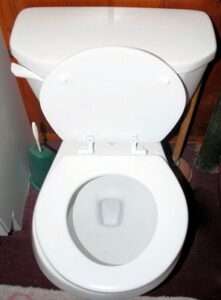 Round vs Elongated Toilet Seat (Pros & Cons) 2 round toilet seats
