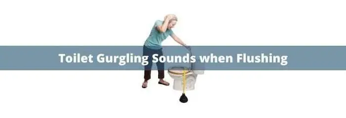Toilet Gurgling Sounds when Flushing