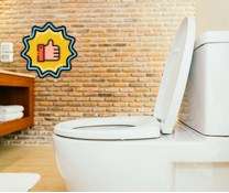 How to Fix and deal with a cold toilet seat