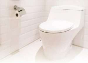 How Can I Make My Toilet Seat Taller?