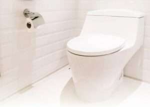 How Can I Make My Toilet Seat Taller? 1 How Can I Make My Toilet Seat Taller?