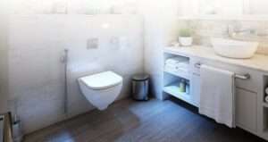 Should You Close Toilet Seat Before Flushing
