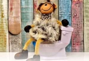 What to Do If the Toilet Seat is Too Low? 1 What to Do If the Toilet Seat is Too Low