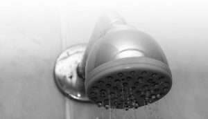 Why Is the Shower head Squealing