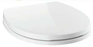 Delta Morgan Stain Resistant Toilet Seat Review 1 Delta 801903 WH Stain Resistant Toilet Seat