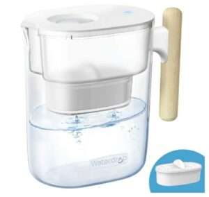 The Best Budget Water Filter Pitchers 12 Waterdrop Extream 10 Cup