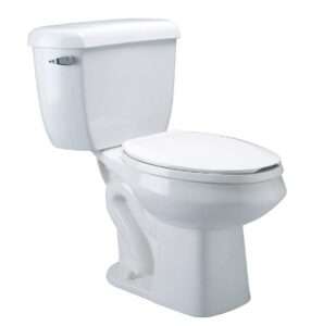 Zurn Z5562 Dual Flush Elongated Pressure Assist Toilet