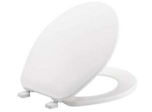 Best Plastic Toilet Seats 9 BEMIS 70 000 White PlasticToilet Seat