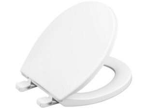 WSSROGY Plastic Toilet seat with Slow Close Hinges
