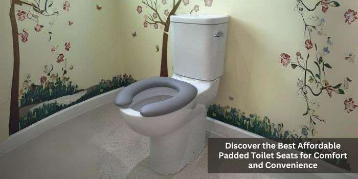 Best Affordable Padded Toilet Seats