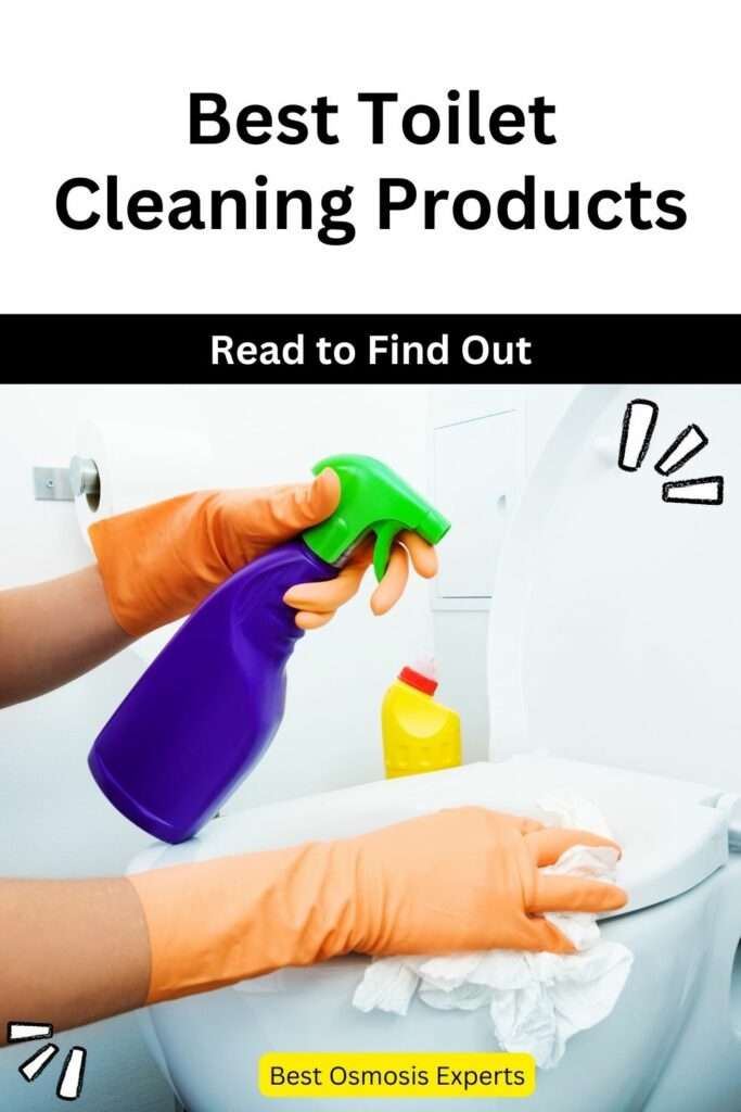 Best Toilet Cleaning Products