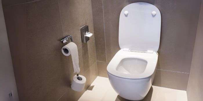 Best Toilet Seats that Won’t Stain