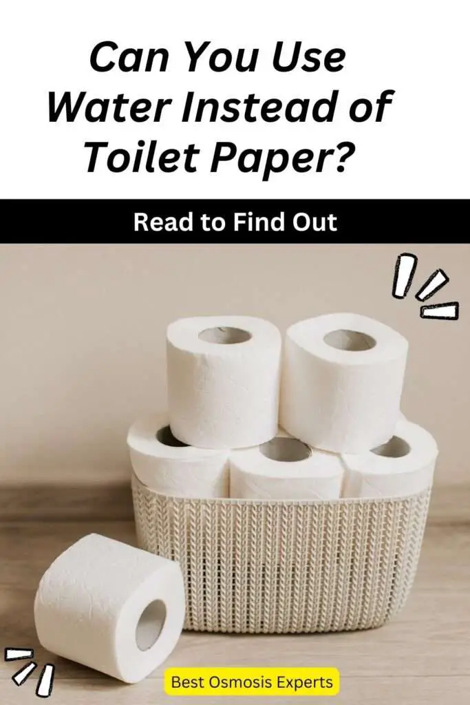 Can You Use Water Instead of Toilet Paper?