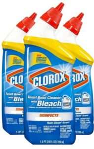 Clorox Toilet Bowl Cleaner with Bleach