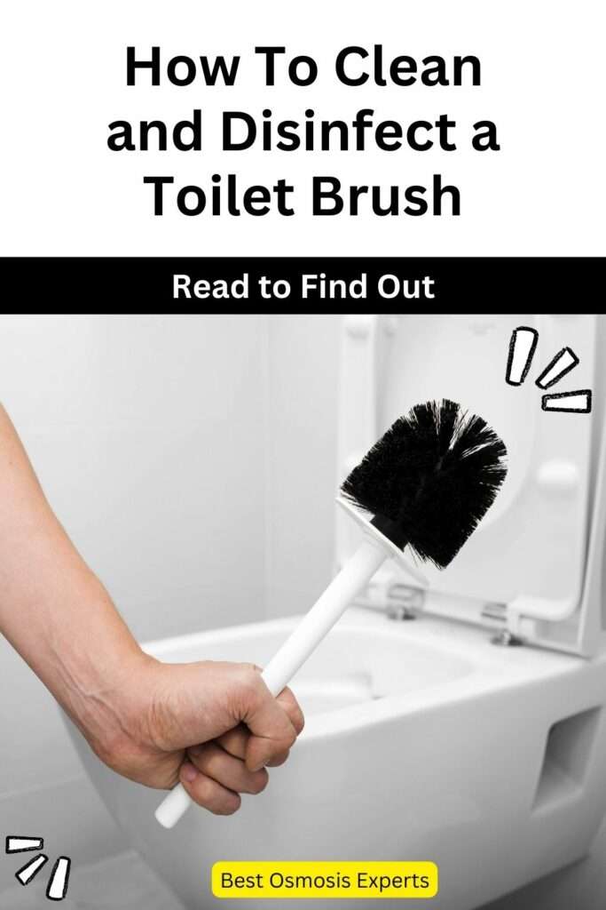 How Do I Clean and Disinfect a Toilet Brush?