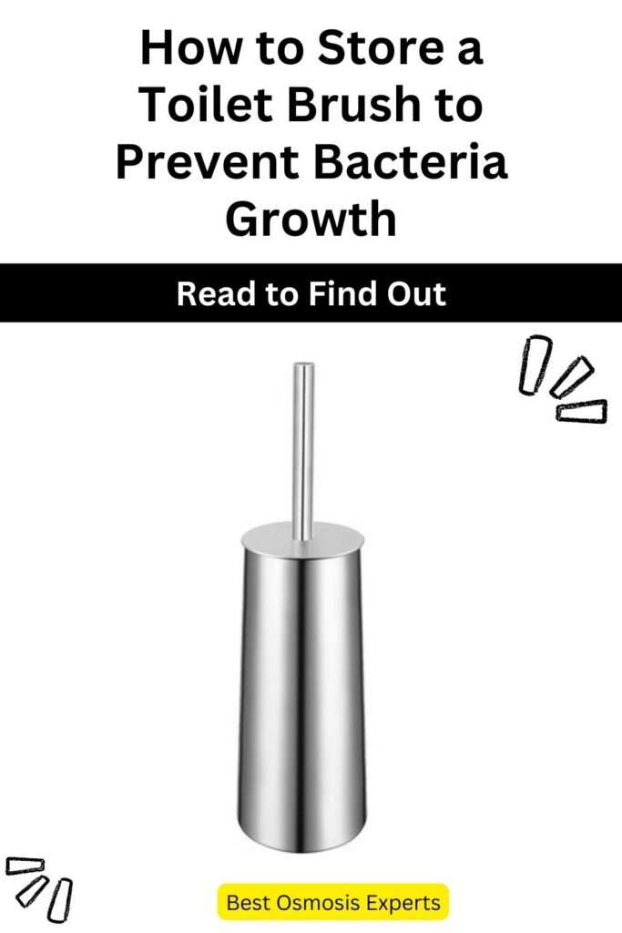 How to Store a Toilet Brush to Prevent Bacteria Growth