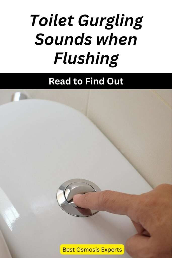 Toilet Gurgling Sounds when Flushing