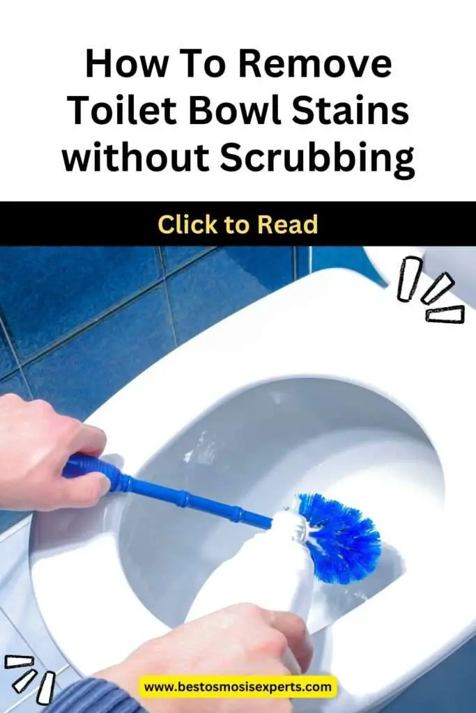 How To Remove Toilet Bowl Stains without Scrubbing