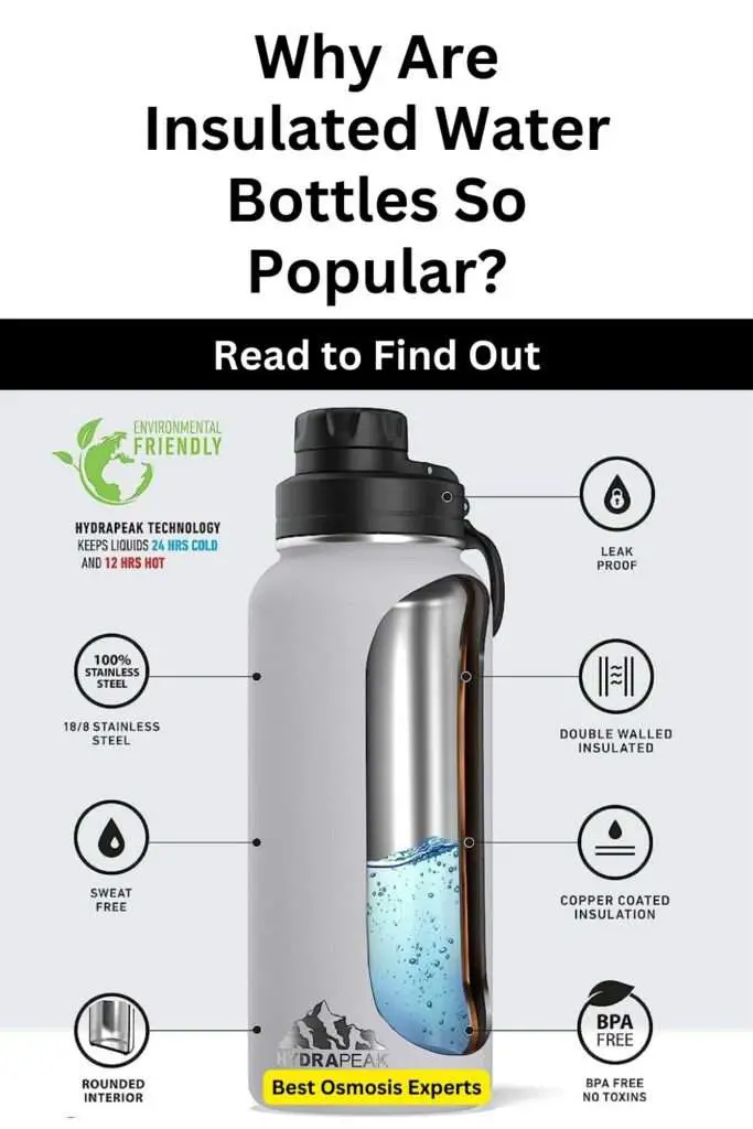 Why Are Insulated Water Bottles So Popular?