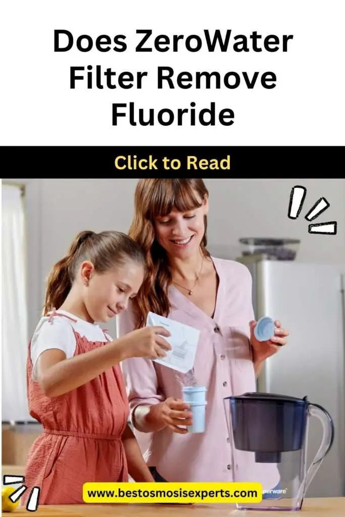Does ZeroWater Filter Remove Fluoride & FAQs