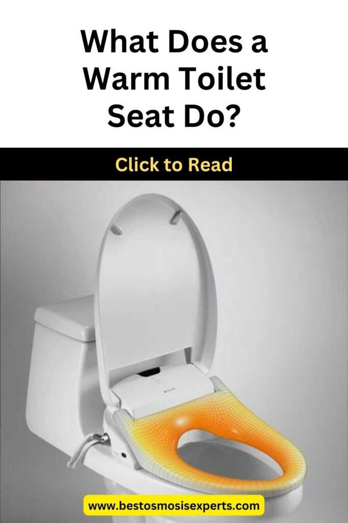 What Does a Warm Toilet Seat Do