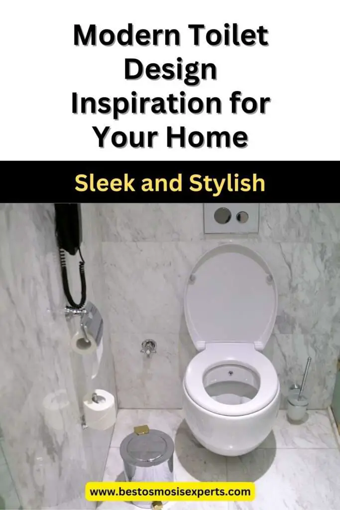 modern toilet design ideas