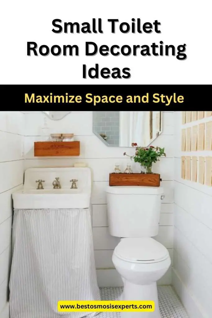 Small Toilet Room Decorating Ideas