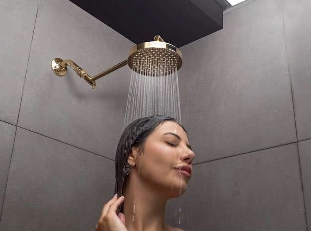 What is the SparkPod Shower Head