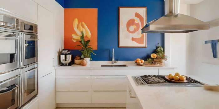 Modern Kitchen Colour Ideas