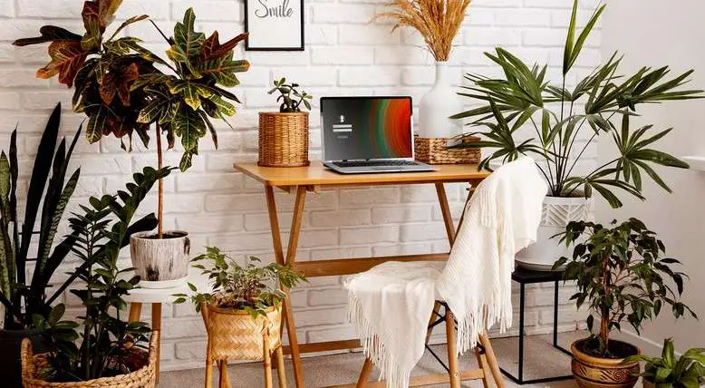 Discover 15 Modern Office Decor Ideas to Elevate Your Workspace 23 Natural Elements