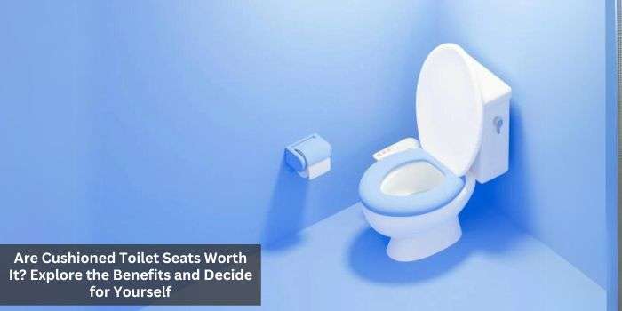Are Cushioned Toilet Seats Worth It