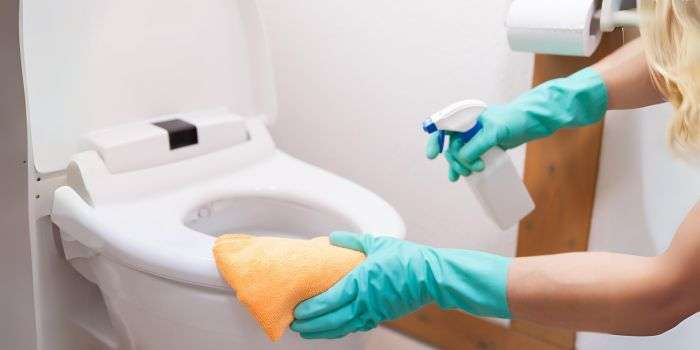 Best Products for Toilet Seat Cleaning