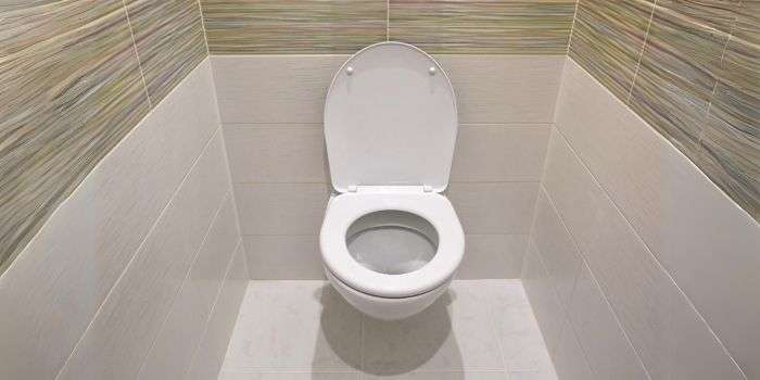 Best Stain Resistant Toilet Bowls