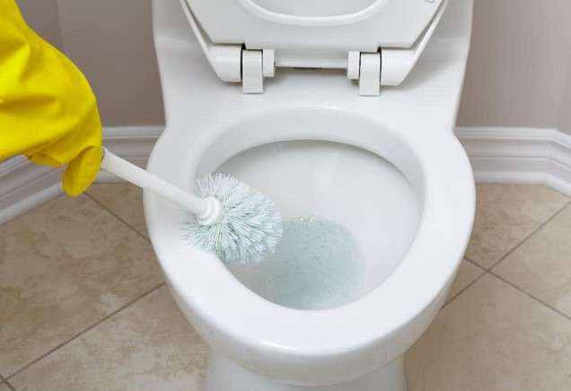 Best Ways to Remove Toilet Bowl Stains