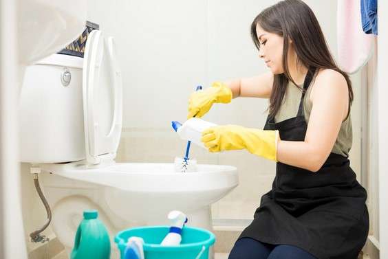Expert Tips for Keeping Your Toilet Bowl Clean and Hygienic 1 Embrace Regular Cleaning Rituals