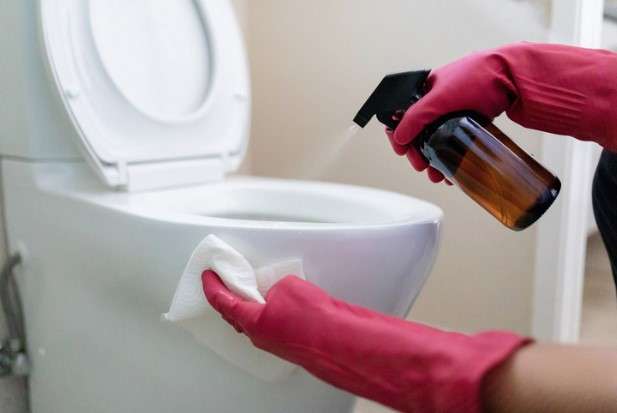 Expert Tips for Keeping Your Toilet Bowl Clean and Hygienic 10 Extend Your Cleaning Regimen to the