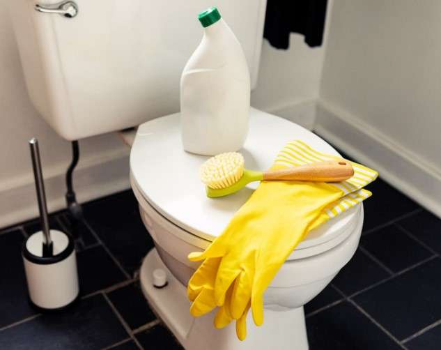 Expert Tips for Keeping Your Toilet Bowl Clean and Hygienic 2 Harness the Power of Natural Cleaning Agents