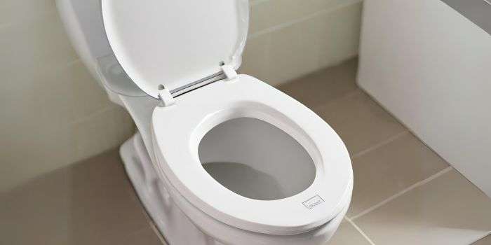 How Often Should You Change Your Toilet Seat