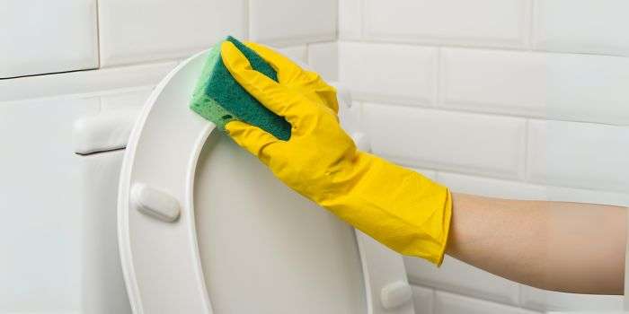 How to Clean the Underside of a Toilet Seat