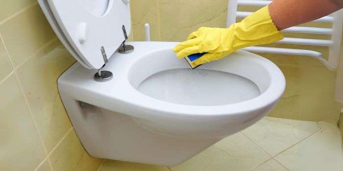 How to Remove Stains from Toilet Bowl