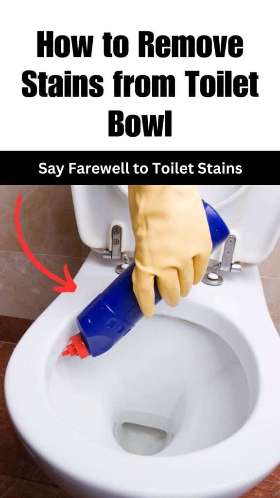 How to Remove Stains from Toilet Bowl