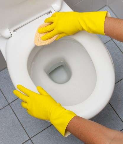 Importance of Cleanliness and Hygiene