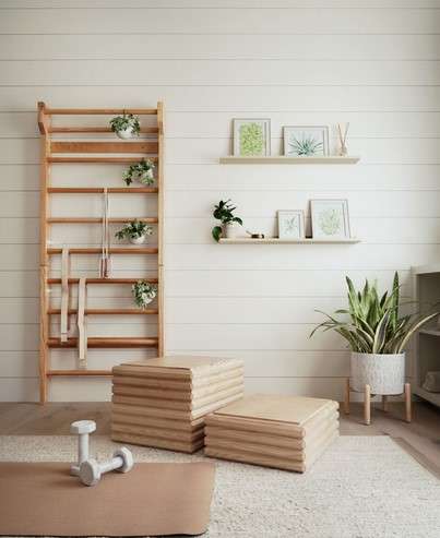 13 Decorations for Home Gym Ideas - Boost Your Workout Space 7 Natural Elements Plants home gym