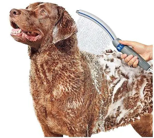 Best Detachable Shower Head for Dogs 1 Waterpik Pet Wand Pro Dog Shower Attachment