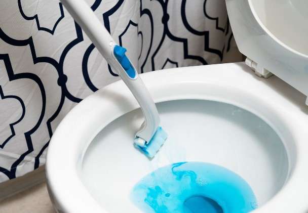 Expert Tips for Keeping Your Toilet Bowl Clean and Hygienic 6 toilet cleaner