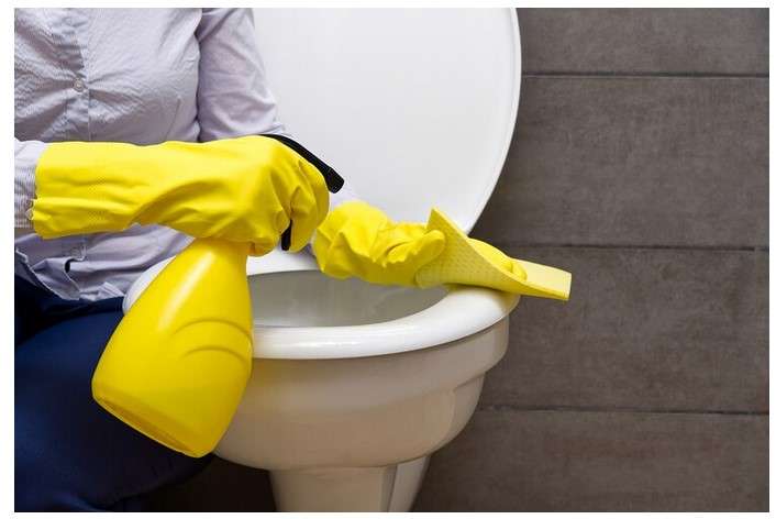 Clean Your Toilet Seat Regularly to Keep it Germ-Free