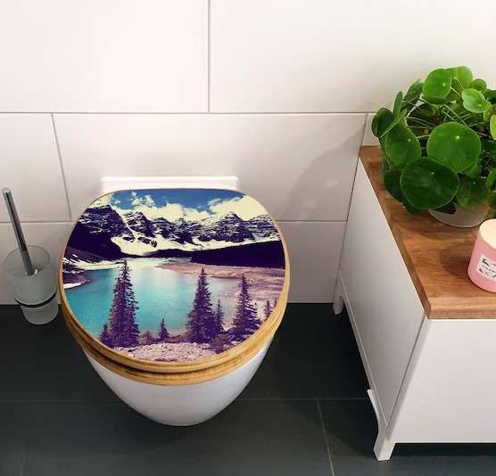 Decorative Toilet Seat Materials